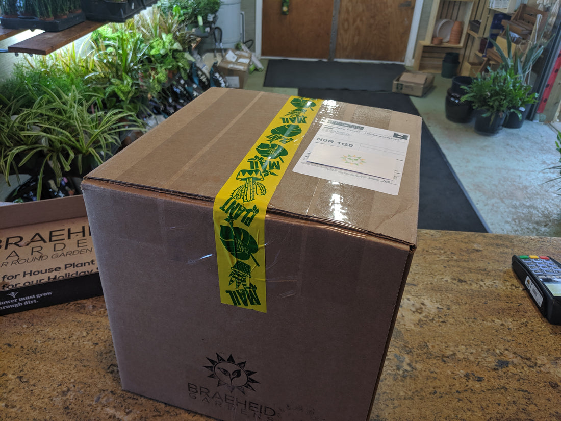 How do we ship in winter?!