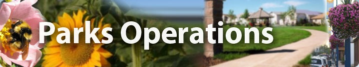 Trees & Shrubs Recommended by the City of GP