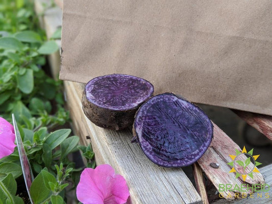 Gourmet Russian Blue Potatoes