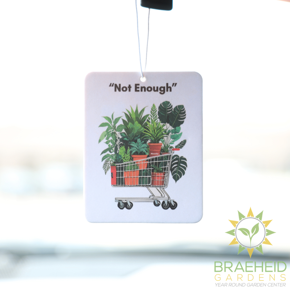 Mossify Air Fresheners