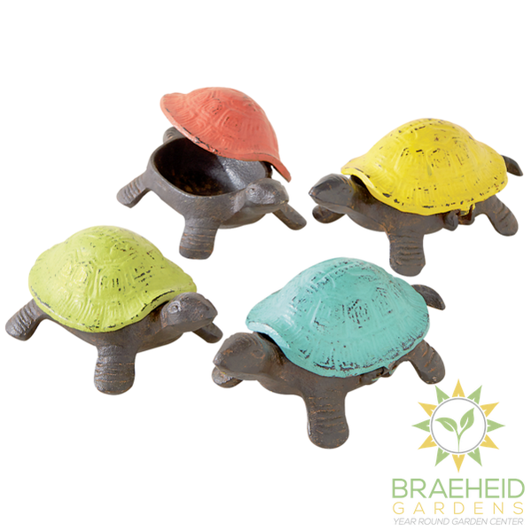 Garden Turtle Key Hider