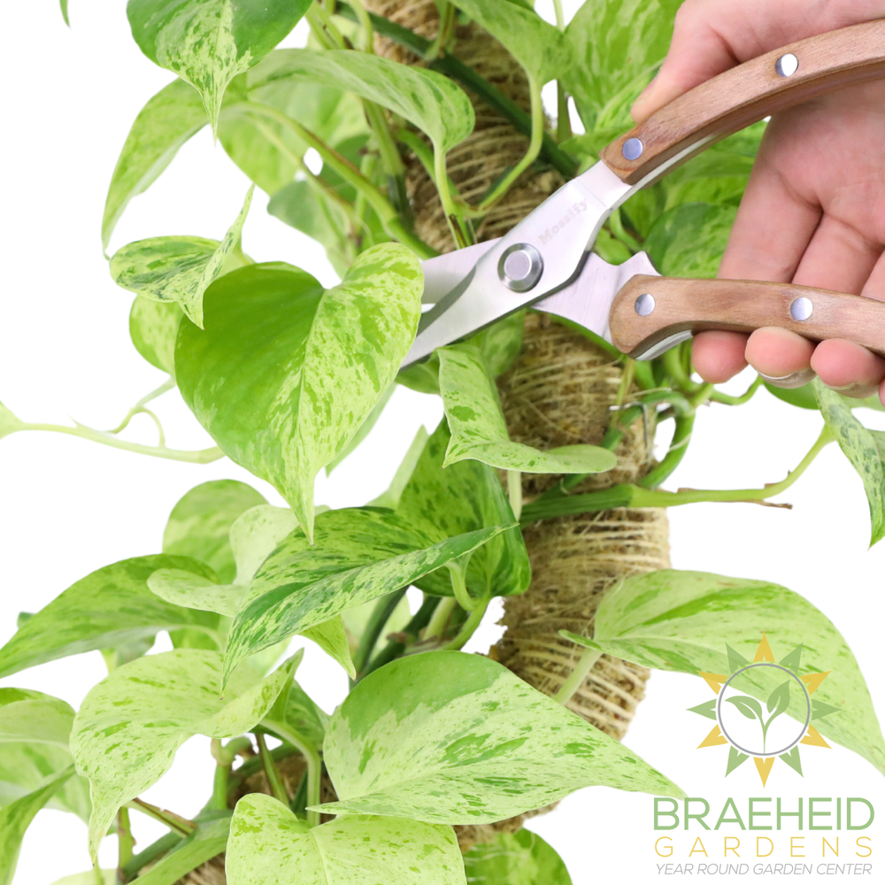 Slim Garden Utility Shears