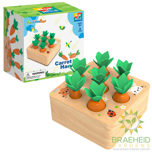 Educational Wooden Toys Carrots Harvest Shape Size Sorting