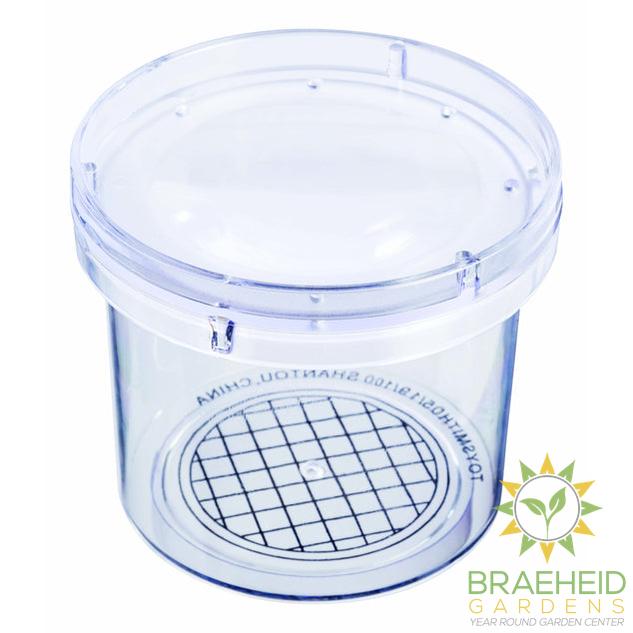 Magnifying Bug Viewer