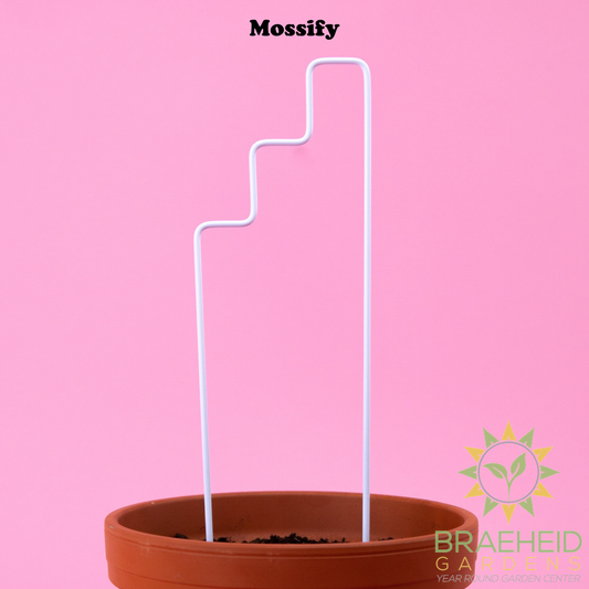 "Plant Stairs" Metal Trellis