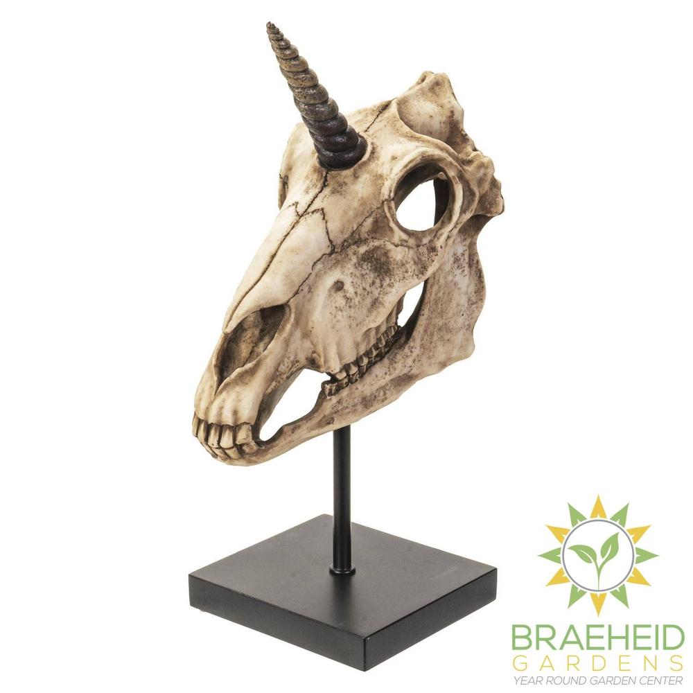 Unicorn Skull on Stand