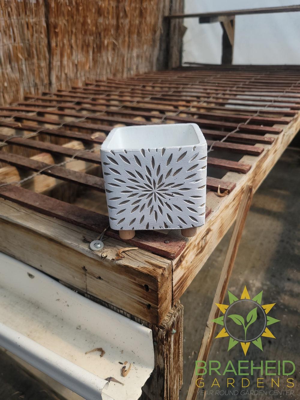 Dahlia Bloom Cement Square Pot