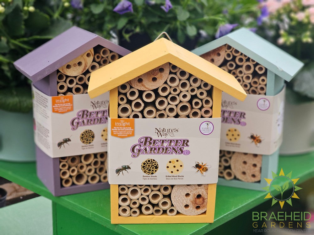 Single Chamber Bee House - Assortment