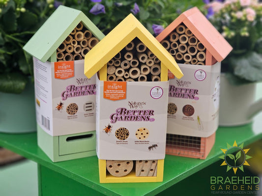 Dual Chamber Insect House - Assortment