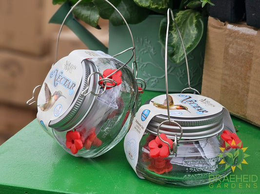 Mason Jar Hummingbird Feeder