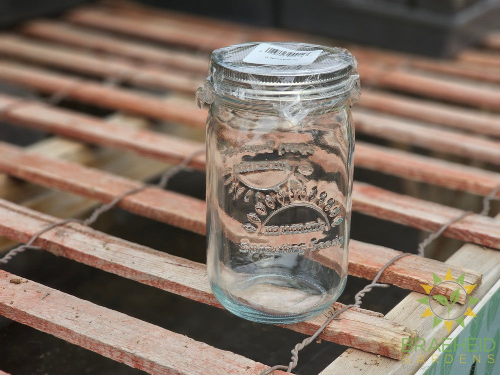 Glass Sprouting Jar 1L
