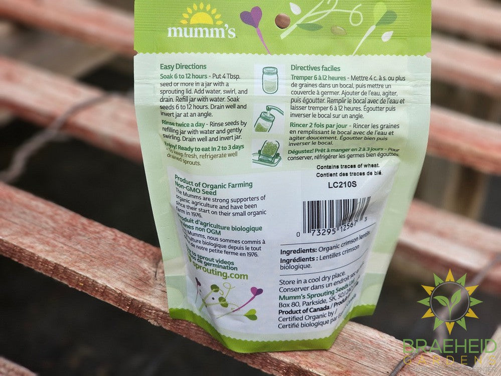 Organic Crimson Lentils Micro Greens