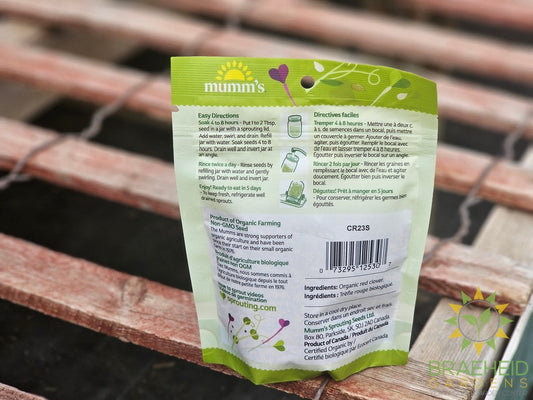 Organic Red Clover Micro Greens