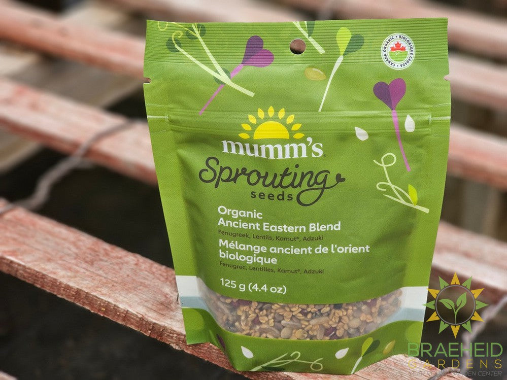 Organic Ancient Eastern Blend Micro Greens
