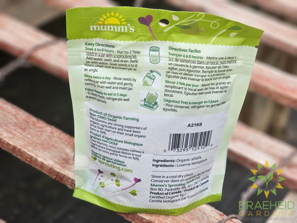 Organic Alfalfa Micro Greens