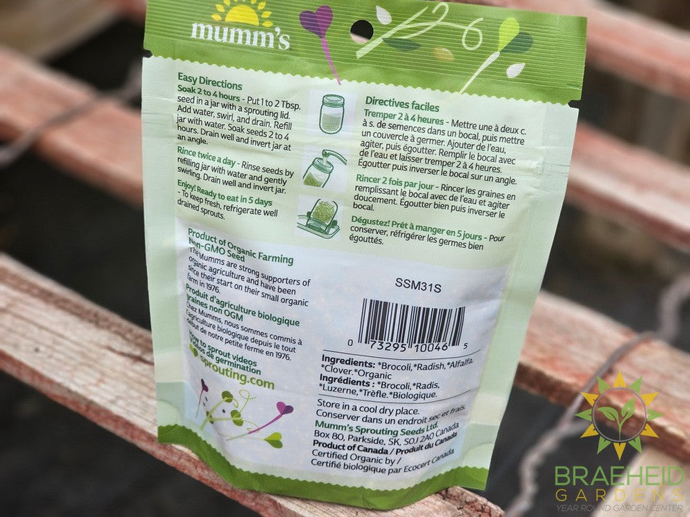 Organic Spring Salad Micro Greens