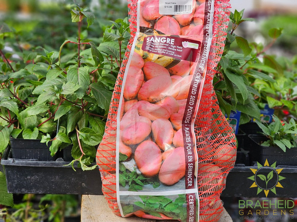 Sangre Potatoes