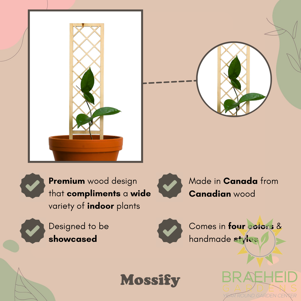 Cross-Hatch Wooden Trellis