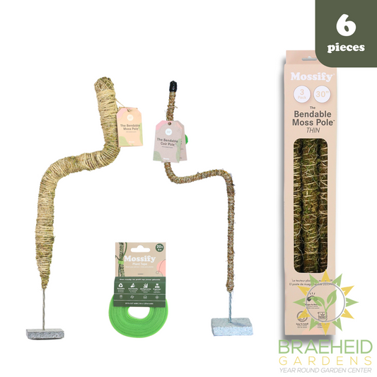 Ultimate Bendable Plant Support Pack