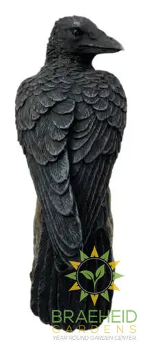 Raven Halloween Decoration C/24