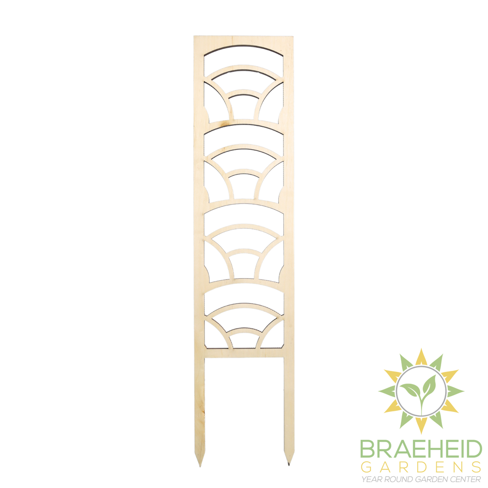 Rainbow Wooden Trellis
