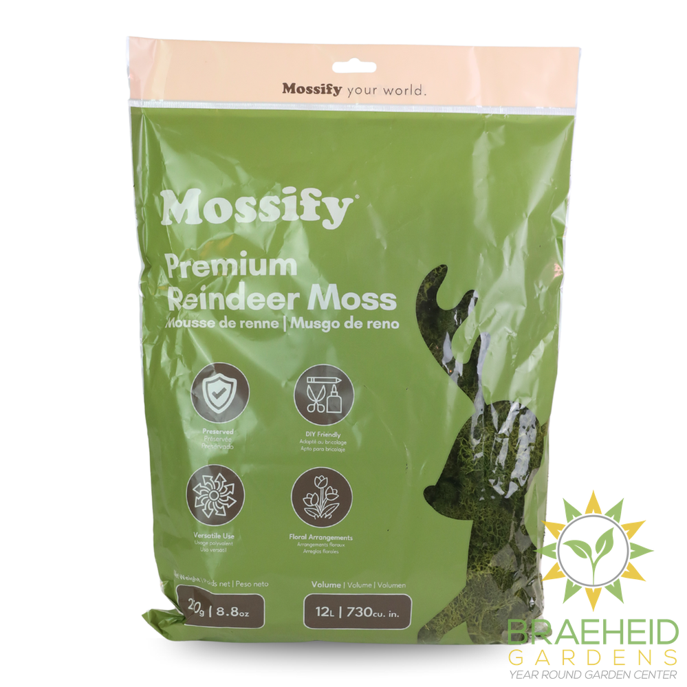 Premium Reindeer Moss Bag