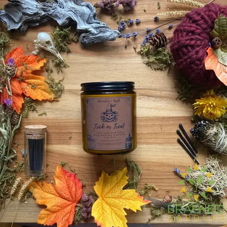 Trick or Treat, 100% soy wax scented candle