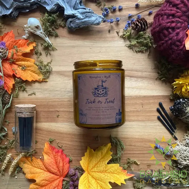 Trick or Treat, 100% soy wax scented candle