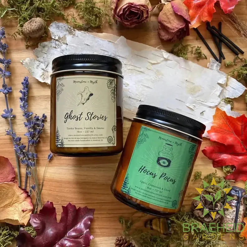Hocus Pocus, 100% soy wax scented candle