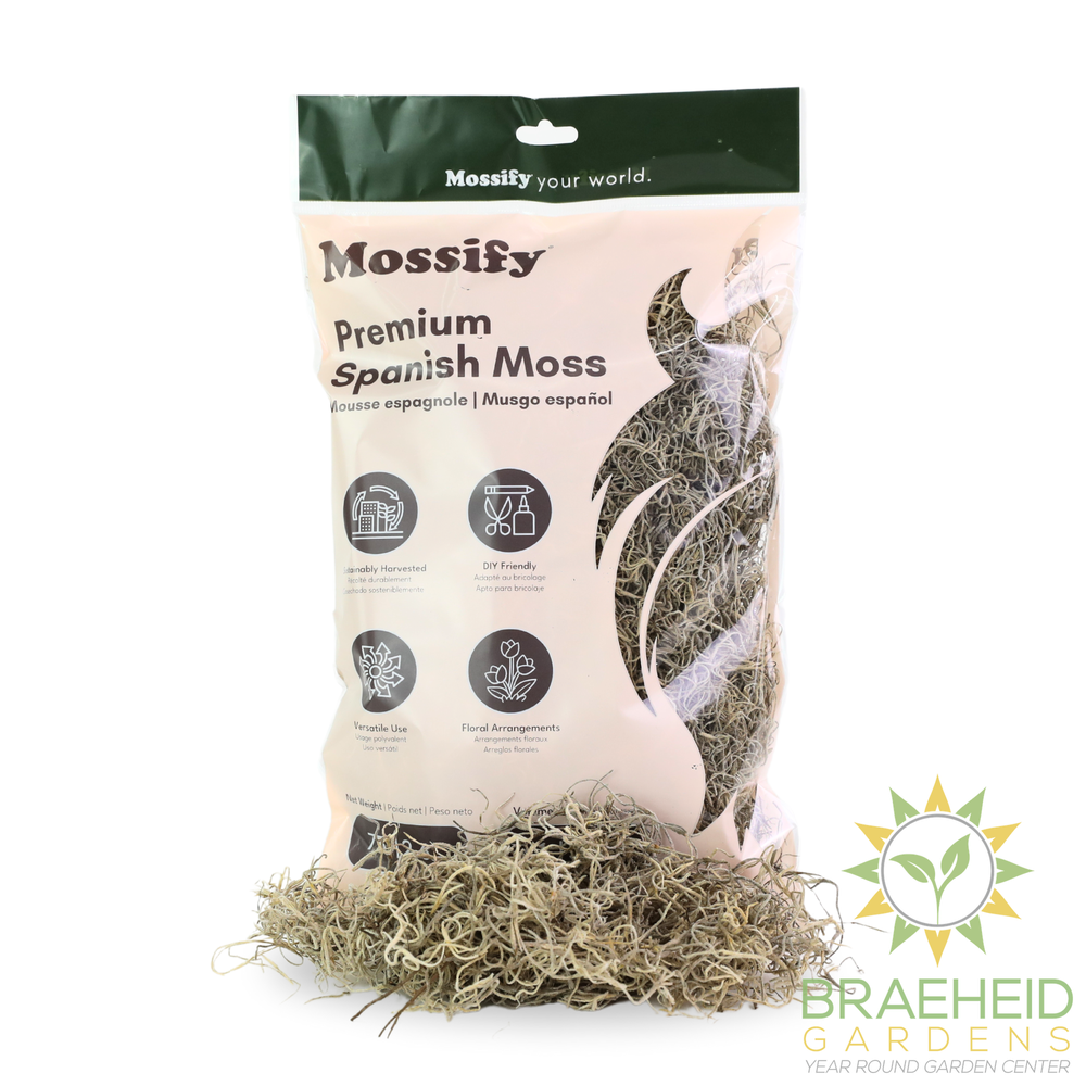 Premium Spanish Moss