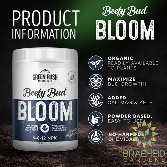 Beefy Bud Bloom Flowering Stage Plant Nutrients | All In One Plant Nutrients for Indoor & Outdoor Use