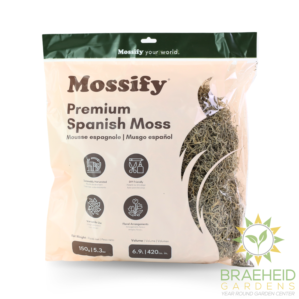 Premium Spanish Moss