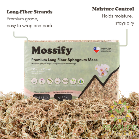 Premium Sphagnum Moss