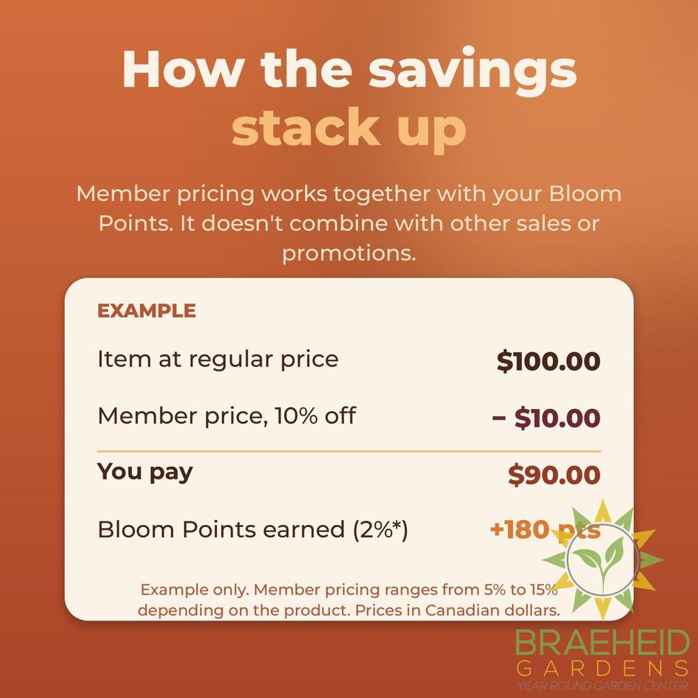 Braeheid Loyalty Annual Membership