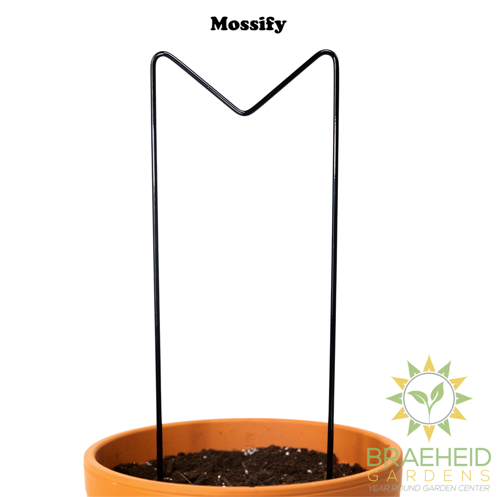"M" Metal Trellis