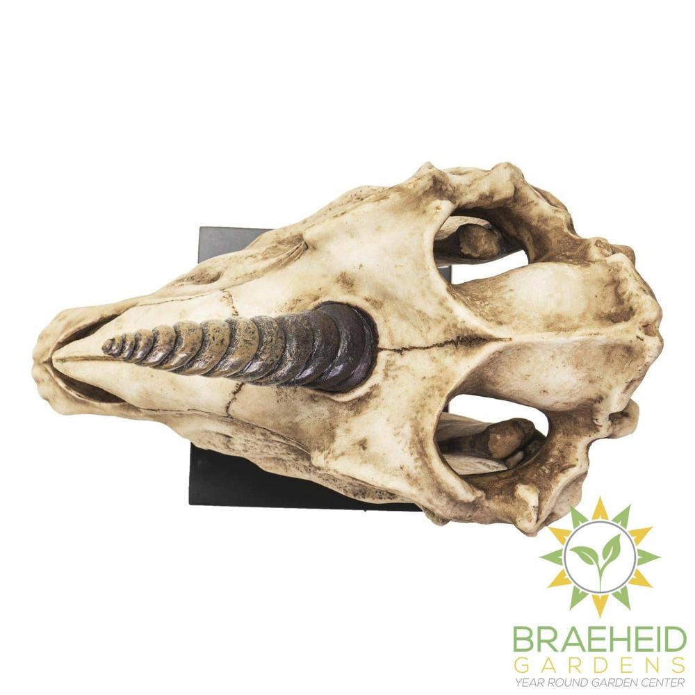 Unicorn Skull on Stand