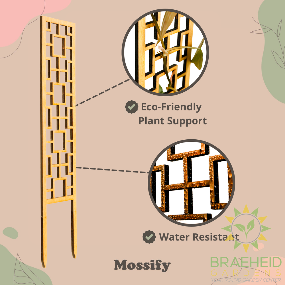Tropical Squares Wooden Trellis