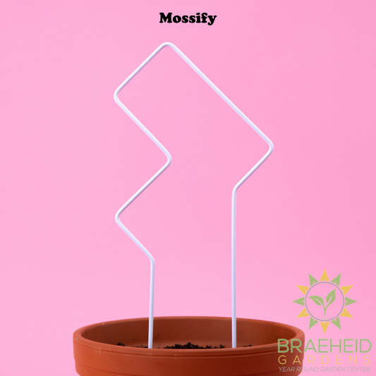 "Tetris" Metal Trellis