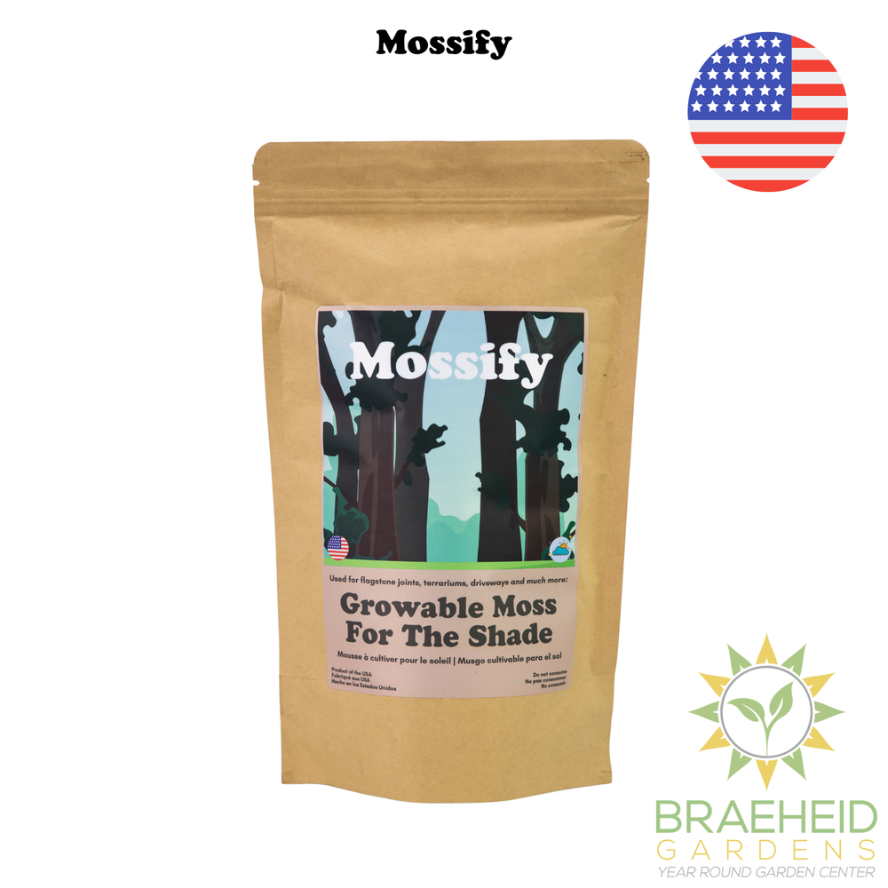 Growable Moss for the Shade