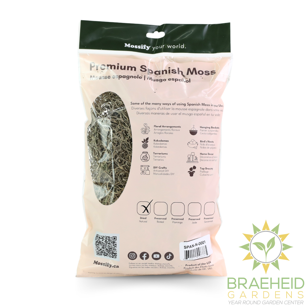 Premium Spanish Moss