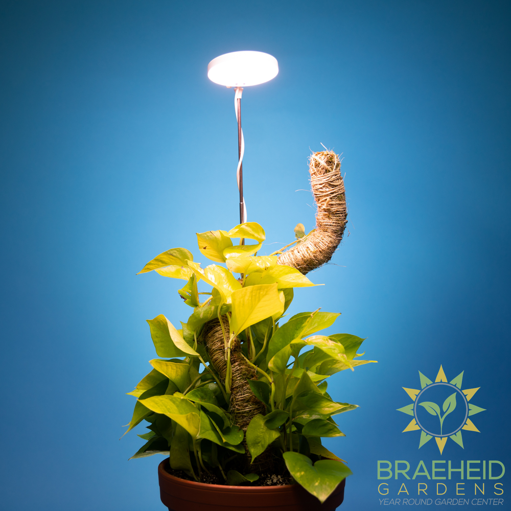 Adjustable LED Plant Light