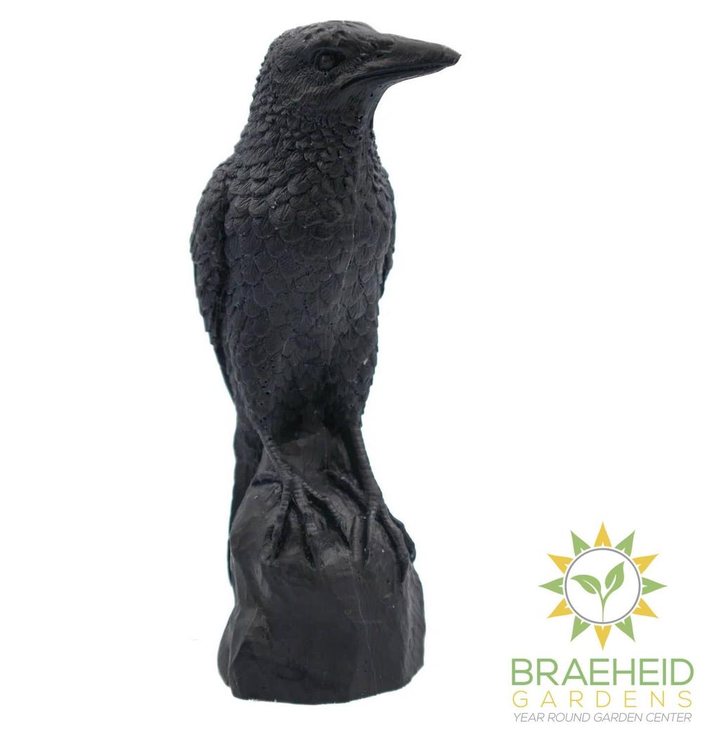 PERCHED RAVEN CANDLE | PILLAR