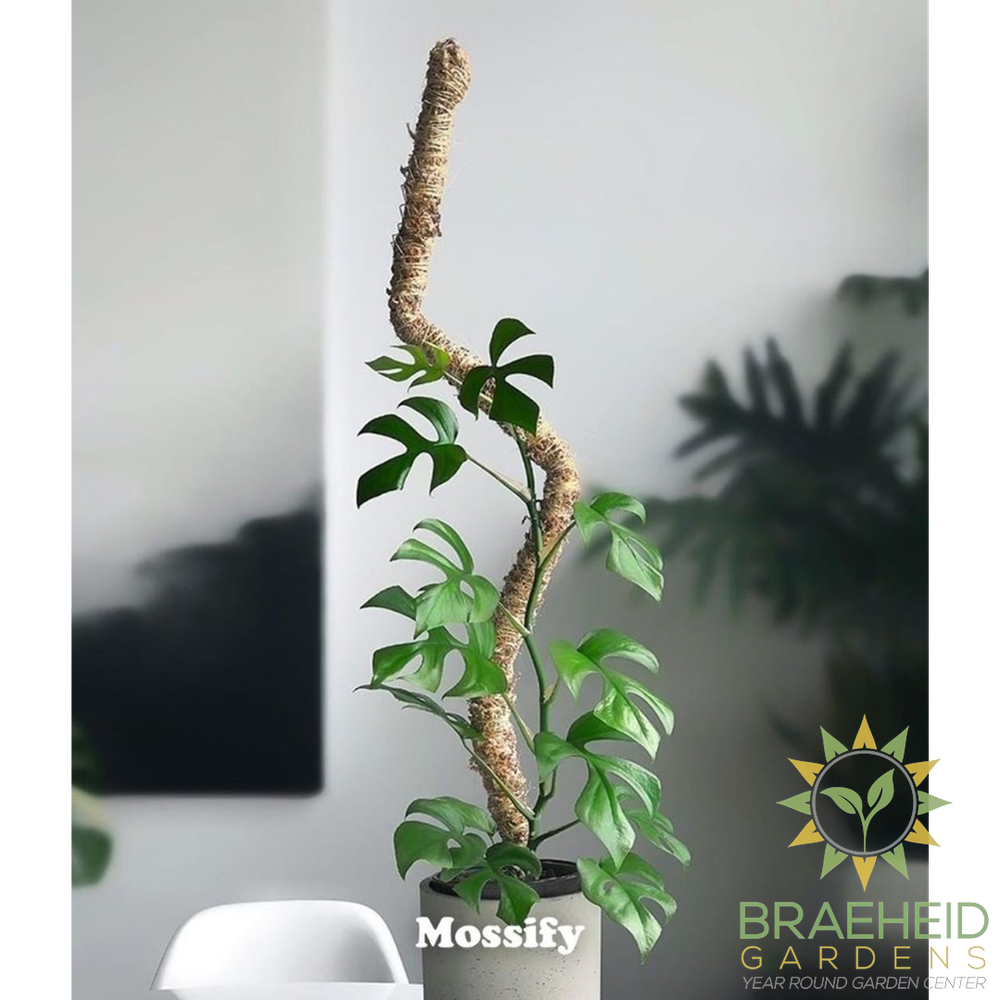The Original Bendable Moss Pole⢠- Best Seller (Pins Included)