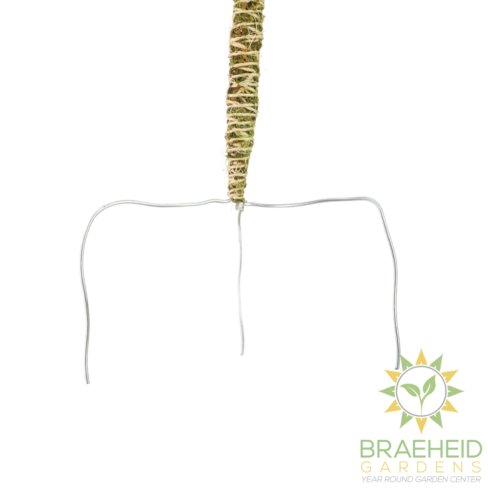 The Bendable Moss Pole™ 𝘛𝘏𝘐𝘕