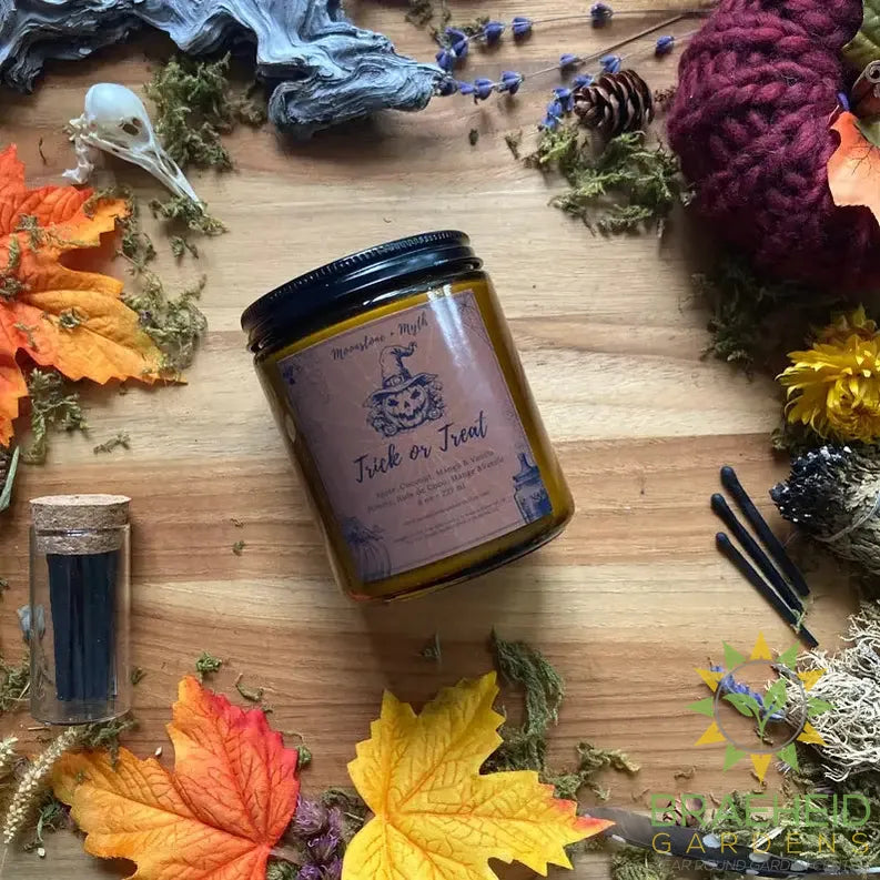 Trick or Treat, 100% soy wax scented candle