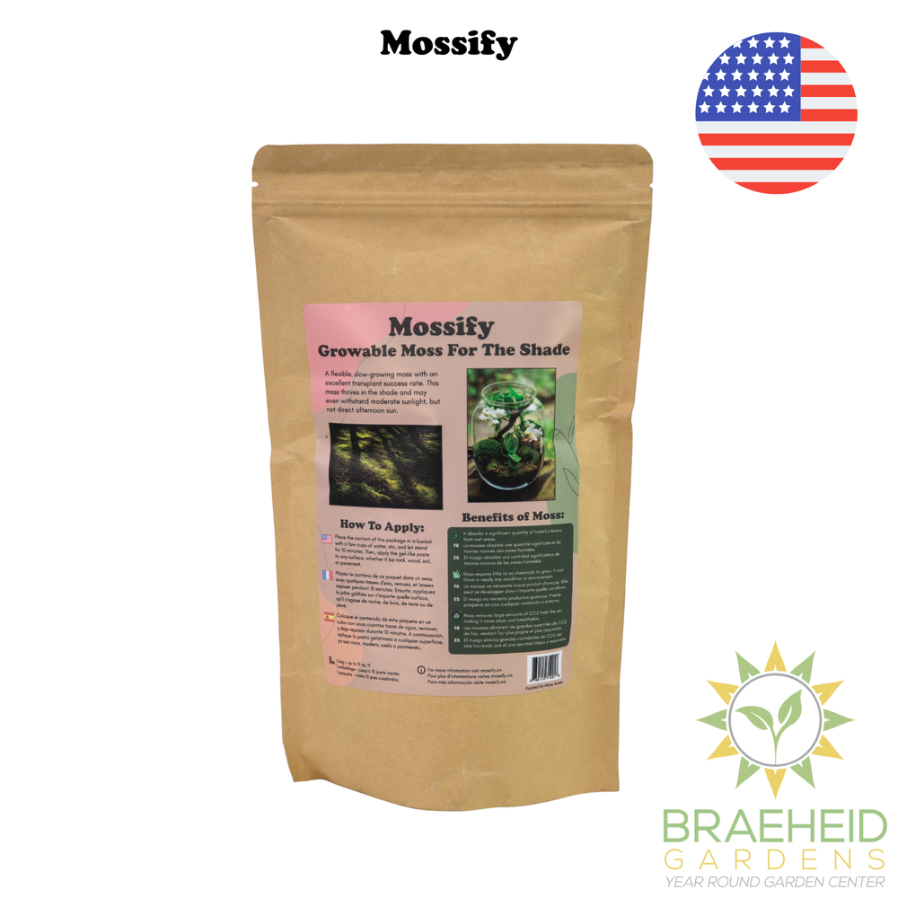 Growable Moss for the Shade