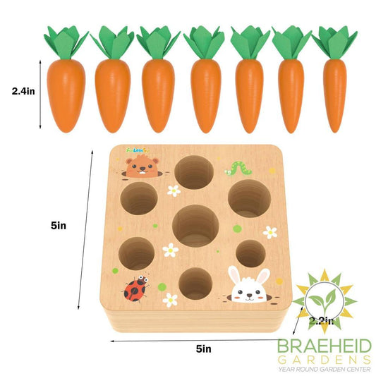 Educational Wooden Toys Carrots Harvest Shape Size Sorting