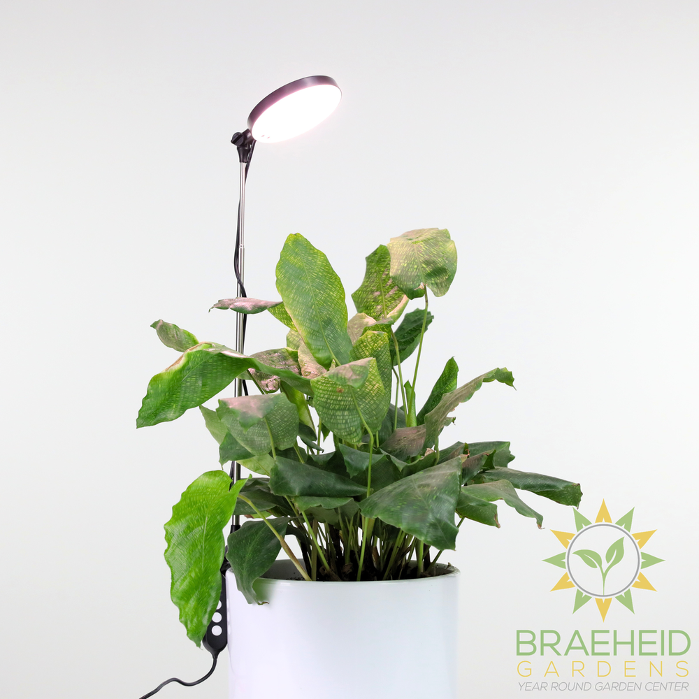 Adjustable LED Plant Light