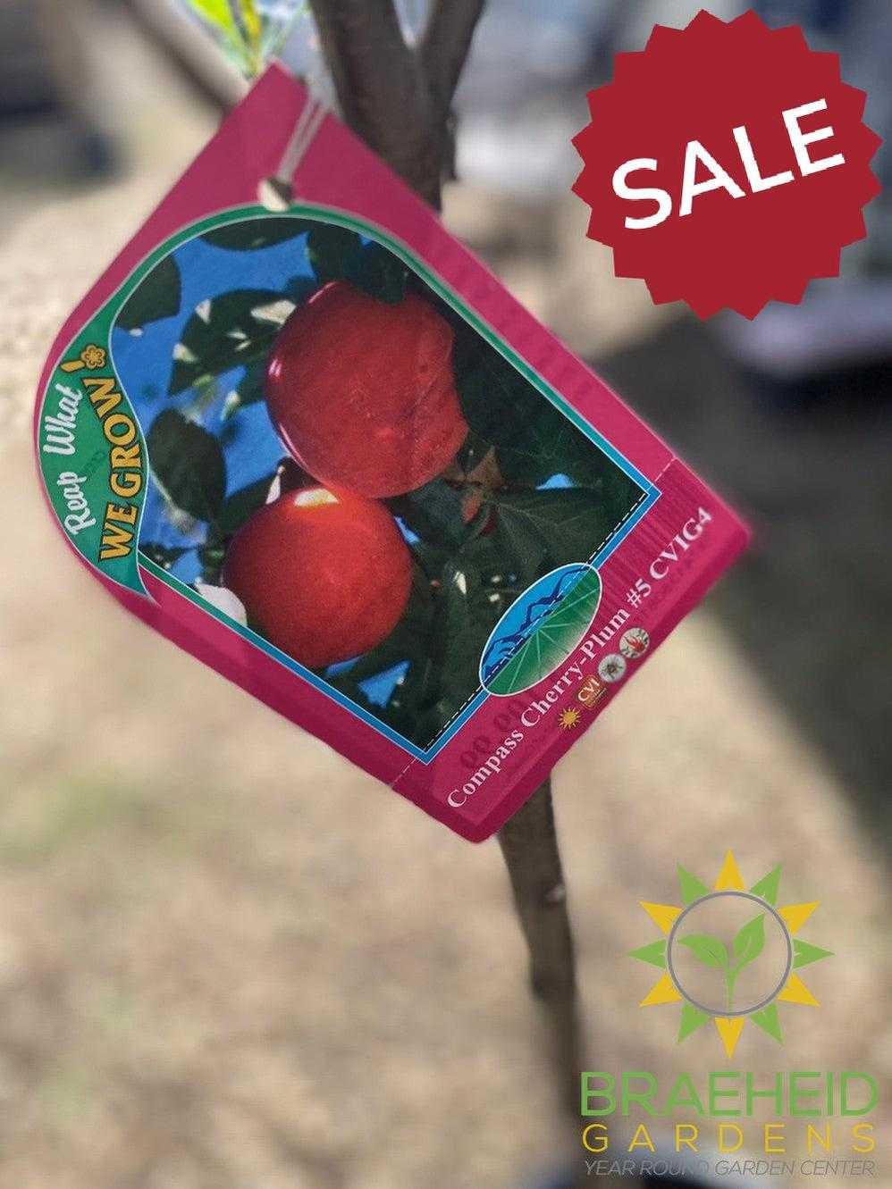 Auction #1 - Beginner’s Orchard Bundle – 9 Hardy Edible Fruit Trees + Fertilizer – Zone 3b Friendly