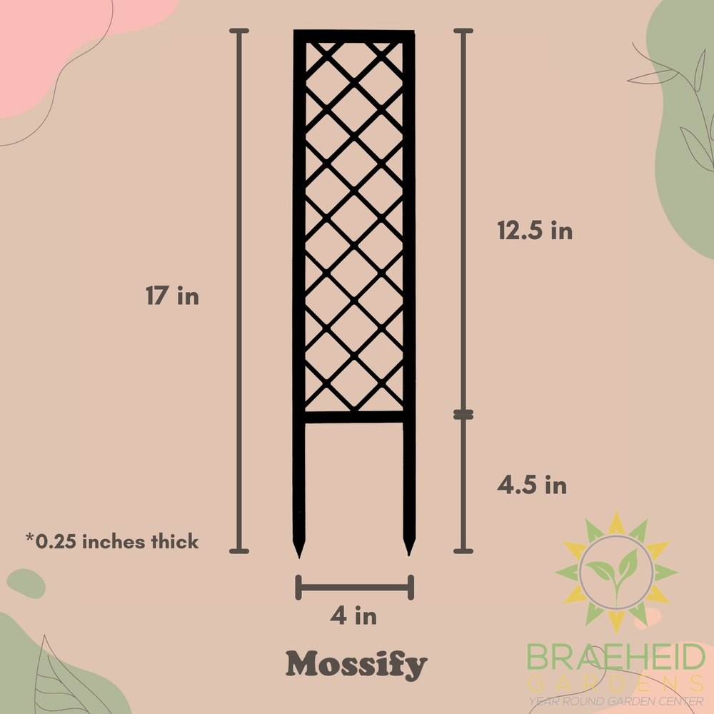 Cross-Hatch Wooden Trellis